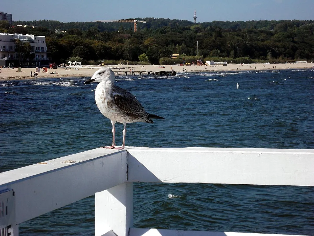 Sopot Apartamenty Bema 6 Lägenhet